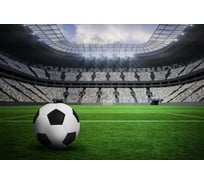 Обои АртПолиграф Milan Футбол, 200х135 см M 688