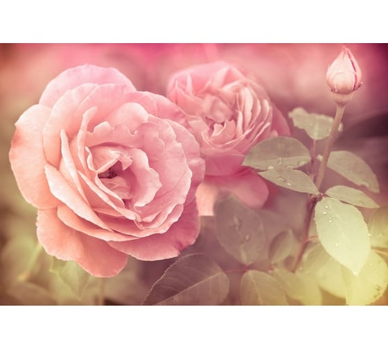 Обои АртПолиграф Milan Нежность 2, 200х135 см M 6167 1