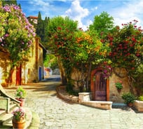 Обои АртПолиграф Milan Улочка с мандариновым деревом, 200х180 см M 5183