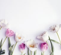 Обои АртПолиграф Milan Нежные тюльпаны, 200х180 см M 5109