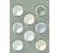 Краска водно-дисперсионная интерьерная Olecolor NCS S 4010-G30Y, 1.0 кг / 0.63 4300016259 11