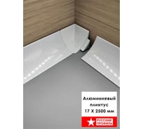 Плинтус алюминиевый РУССКИЙ ПРОФИЛЬ 17 мм, 2.5м, белый матовый 4680427152672