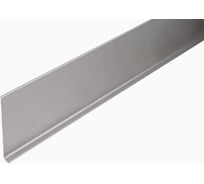 Плинтус алюминиевый РУССКИЙ ПРОФИЛЬ 100 мм, 2.5м, анодированый, серебро матовый 4680427064494