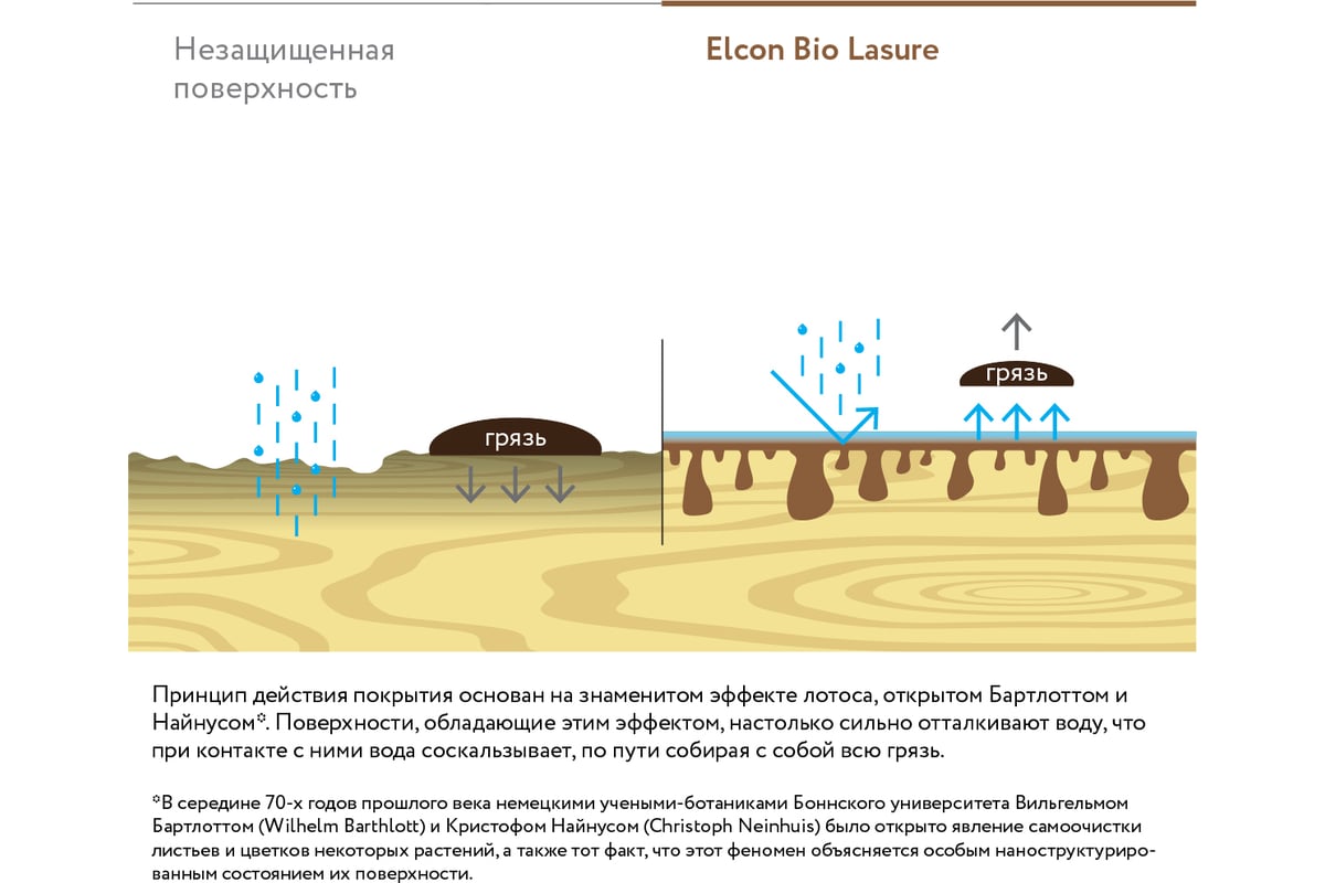 Водоотталкивающая пропитка Elcon Bio Lasure для защиты дерева до 15 лет,  антисептик (осенний клен; 2 л) 00-00461949 - выгодная цена, отзывы,  характеристики, фото - купить в Москве и РФ