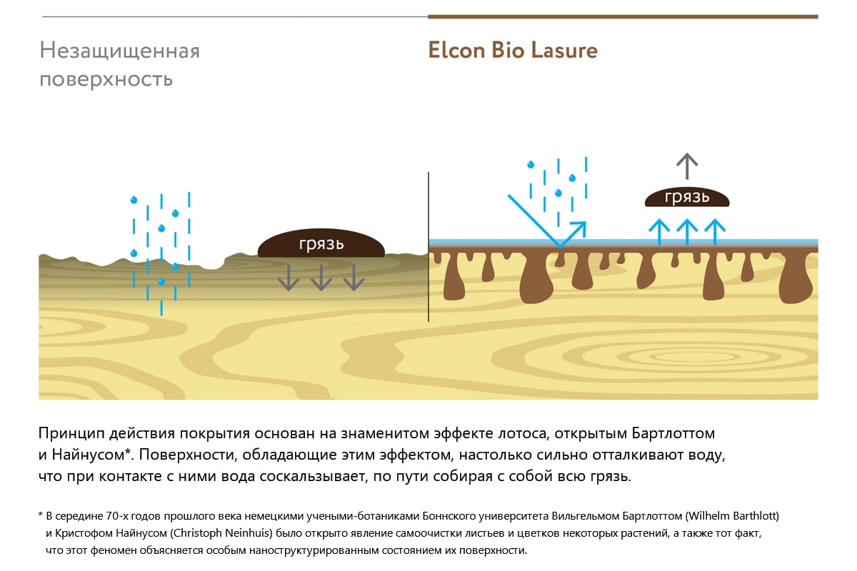 Водоотталкивающая пропитка Elcon Bio Lasure для защиты дерева до 15 лет,  для наружных и внутренних работ, антисептик (тик; 2 л) 00-00461946 -  выгодная цена, отзывы, характеристики, фото - купить в Москве и РФ