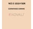 Грунт-эмаль KOVALI 3 в 1 матовая NCS S 1010-Y30R (10 кг) А3.2.31010-Y30R 7