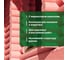 Огнебиозащита для древесины PROSEPT ОГНЕБИО PROF, 2-ая группа, готовый состав, 1000л 006-1000к 2