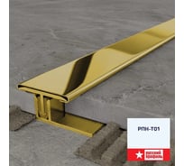 Порог для пола РУССКИЙ ПРОФИЛЬ РПН-Т01 21x8х0.5П, 2.7м, золото, AISI 304 4680427142079
