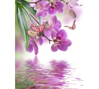 Фотообои Dekor Vinil Орхидея и бабочки 200х260 см 5612dv