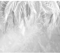 Фотообои Dekor Vinil Листья пальмы на сером фоне 300х260 см 7806dv