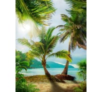 Фотообои Dekor Vinil Пляж с пальмами 200х260 см 6280dv