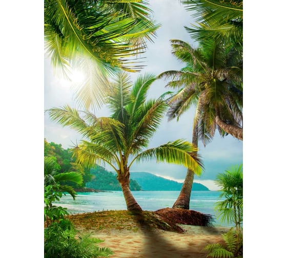 Фотообои Dekor Vinil Пляж с пальмами 200х260 см 6280dv 1