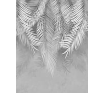Фотообои Dekor Vinil Пальмовые листья на сером фоне 200х260 см 7593v