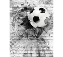 Фотообои Dekor Vinil Футбольный мяч на кирпичной стене 200х260 см 7657dv