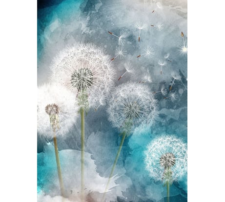 Фотообои Dekor Vinil Одуванчики 200х260 см 7783dv
