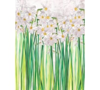 Фотообои Dekor Vinil Нарциссы акварель 200х260 см 7565dv