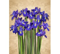 Фотообои Dekor Vinil Ирисы 200х260 см 7300dv