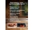 Декоративная пропитка для дерева MASTERFARBE WOOD ACRYL 9 л, бесцветный 4610091274981 4