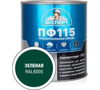 Эмаль Эксперт ПФ-115 глянцевая, зеленая, RAL 6005 2,7кг 34082