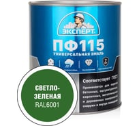 Эмаль ЭКСПЕРТ ПФ-115 глянцевая, светло-зеленая, RAL 6001 2.7 кг 34108
