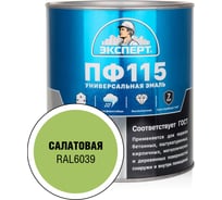 Эмаль ЭКСПЕРТ ПФ-115 глянцевая, салатовая, RAL 6039 2.7 кг 34103