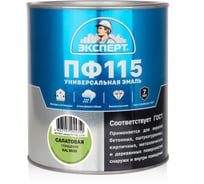 Эмаль ЭКСПЕРТ ПФ-115 глянцевая, салатовая, RAL 6039 2.7 кг 34103