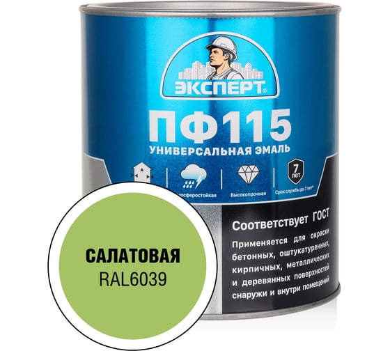 Эмаль ЭКСПЕРТ ПФ-115 глянцевая, салатовая, RAL 6039 2.7 кг 34103