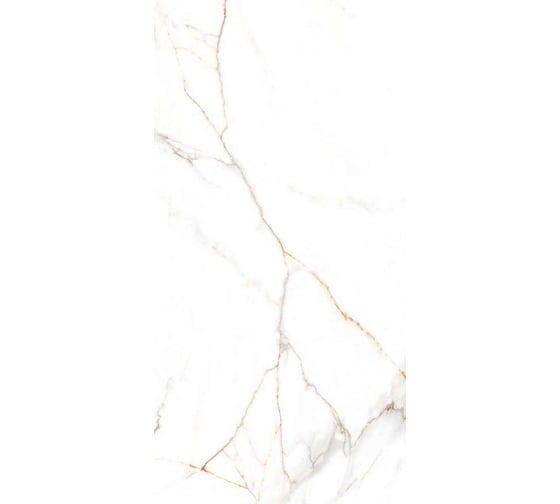 Керамогранит Belleza AUSTRAIN NATURAL (GLOSSY) (1,44 м2/2 шт) СК000044332 1