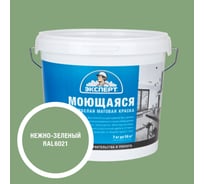 Краска Эксперт моющаяся нежно-зеленая 7кг 34860