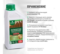 Антисептик PROSEPT ULTRA невымываемый, концентрат 1:10, 1 л 061-1