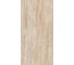 Керамогранит Belleza RIZZONI TRAVERTINO BROWN (VELVET) (1,44 м2/2 шт) СК000045383 3