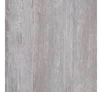 Термопереводная панель ПВХ profBUILD СОСНА КЕДР, 2700 x 250 x 8 мм 1111