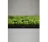 Плитка ковровая Bonkeel Sunrise Green, 50x50, 5м2\уп, PP SD 656433 4