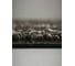 Плитка ковровая Bonkeel Sunrise Brown, 50x50, 5м2\уп, PP SD 656428 2