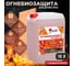 Антисептик асно-коричневый огнебиозащитный КР 2 группа 10л 00-00001400 6