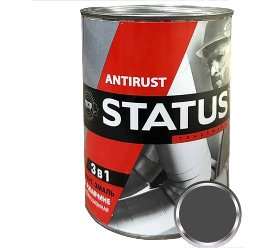 Грунт-эмаль 3в1 Радугамалер STATUS графит, 0.8 кг 4640210902464 1