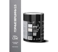 Краска матовая для стен и потолков моющаяся M2 SQUARE METER, ГОРНЫЕ ВЕРШИНЫ 2.5 СТ, 1 л 10212000010025