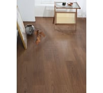 Ламинат Lamiwood SELECT 8, Дуб Мореный (1215х195х8мм) 1,9 м2 819