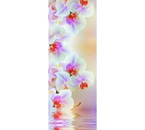 Обои АртПолиграф Milan Светлая орхидея 100х270 см M 101