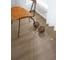 Ламинат Lamiwood SELECT 8, Дуб Карамельный, 1215х195х8мм, 1,9 м2 814 10