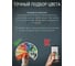 Акриловая краска для дерева 3в1 для наружных и внутренних работ Pollux цвет зеленый, Ral 6033 FB200C-6033-1L 10