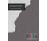 Акриловая краска для дерева 3в1 для наружных и внутренних работ Pollux цвет серый, Ral 7036 FB200C-7036-1L 5