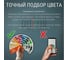Акриловая краска для дерева 3в1 для наружных и внутренних работ Pollux цвет серый, Ral 7026 FB200C-7026-5L 9