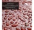 Акриловая краска для дерева 3в1 для наружных и внутренних работ Pollux цвет зеленый, Ral 6019 FB200C-6019-1L 8