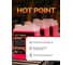 Огнебиозащитный антисептик для древесины HOT POINT HPF 0065 7