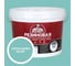 Резиновая трещиностойкая краска ЭКСПЕРТ RAL 6027, 9л 35004 2