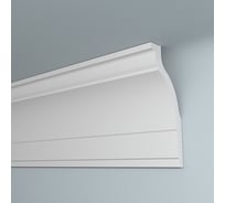 Плинтус ПЛИНТЭКС Q 50/120 24607173943419