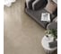 Керамогранит AlmaCeramica Alma Ceramica Флора / Flora лаппатированный 600х600х9 1,8м2 (5шт в уп) кофейный GFU6060FLO40L 1