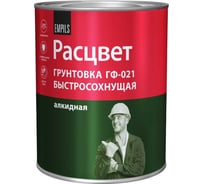 Быстросохнущая грунтовка Расцвет ГФ-021 серая, 1 кг 73565