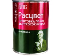 Быстросохнущая грунтовка Расцвет ГФ-021 серая, 1 кг 73565 20812395